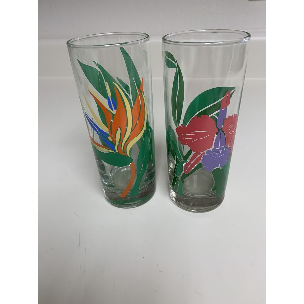 Vintage Libby Tropical glasses birds of paradise iris replacement set of 2